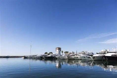 Puerto Portals Length = 7