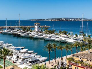 684e3ae0-f99f-4cef-9bbb-684424691e85-10